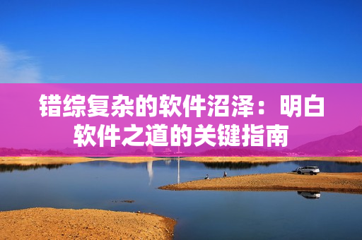 错综复杂的软件沼泽：明白软件之道的关键指南