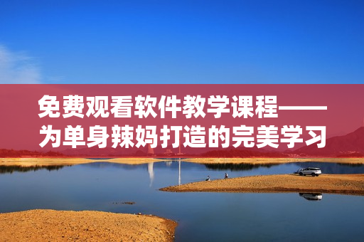 免费观看软件教学课程——为单身辣妈打造的完美学习平台