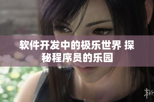 软件开发中的极乐世界 探秘程序员的乐园