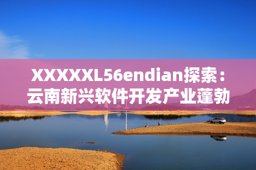 XXXXXL56endian探索：云南新兴软件开发产业蓬勃发展