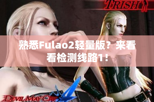 熟悉Fulao2轻量版？来看看检测线路1！