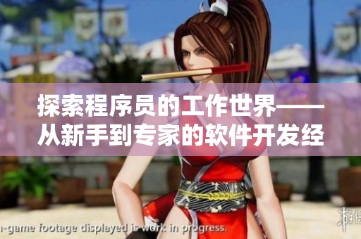 探索程序员的工作世界——从新手到专家的软件开发经验分享
