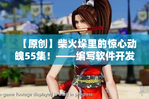 【原创】柴火垛里的惊心动魄55集！——编写软件开发故事的探讨