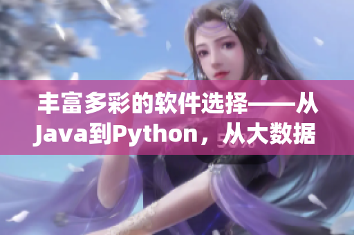 丰富多彩的软件选择——从Java到Python，从大数据到人工智能