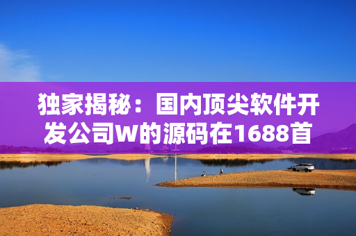 独家揭秘：国内顶尖软件开发公司W的源码在1688首次曝光