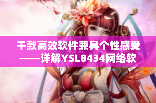 千款高效软件兼具个性感受——详解YSL8434网络软件多变魅力