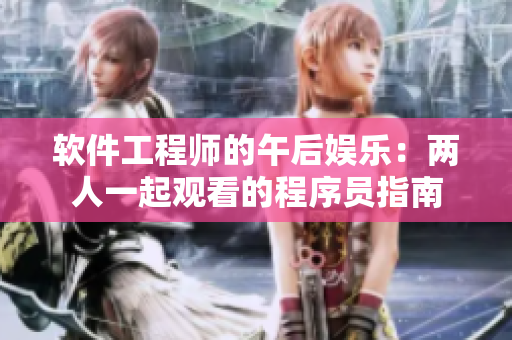 软件工程师的午后娱乐：两人一起观看的程序员指南