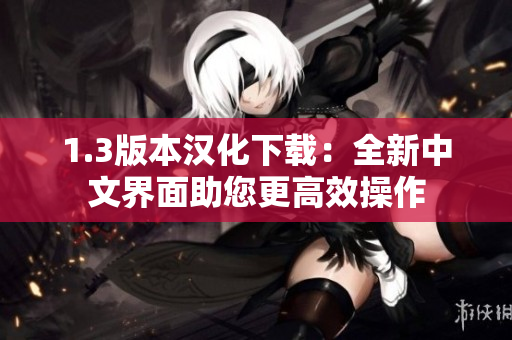 1.3版本汉化下载：全新中文界面助您更高效操作