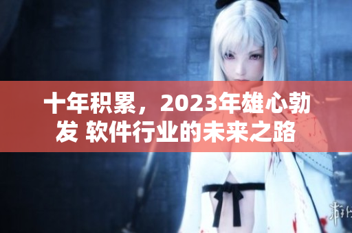 十年积累，2023年雄心勃发 软件行业的未来之路