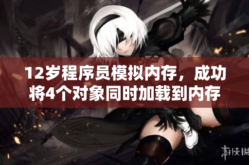 12岁程序员模拟内存，成功将4个对象同时加载到内存中