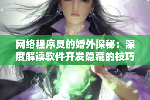 网络程序员的婚外探秘：深度解读软件开发隐藏的技巧