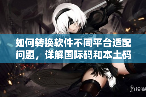 如何转换软件不同平台适配问题，详解国际码和本土码对比