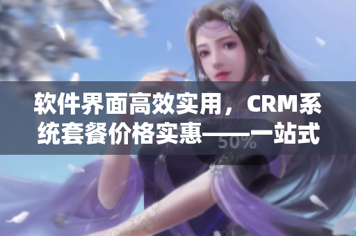 软件界面高效实用，CRM系统套餐价格实惠——一站式管理解决方案