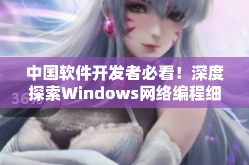 中国软件开发者必看！深度探索Windows网络编程细节