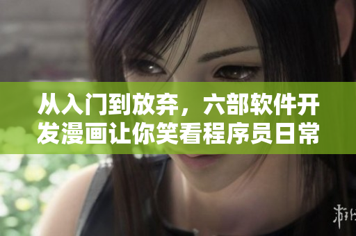 从入门到放弃，六部软件开发漫画让你笑看程序员日常