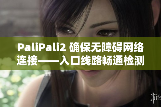 PaliPali2 确保无障碍网络连接——入口线路畅通检测