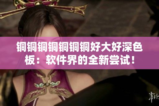 铜铜铜铜铜铜铜好大好深色板：软件界的全新尝试！