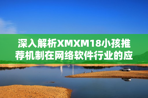 深入解析XMXM18小孩推荐机制在网络软件行业的应用