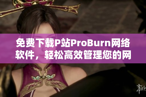 免费下载P站ProBurn网络软件，轻松高效管理您的网络工具！