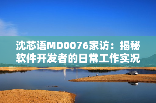 沈芯语MD0076家访：揭秘软件开发者的日常工作实况