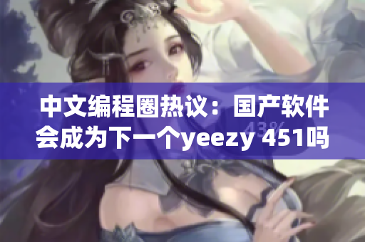 中文编程圈热议：国产软件会成为下一个yeezy 451吗？