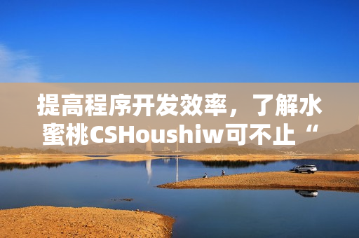 提高程序开发效率，了解水蜜桃CSHoushiw可不止“一餐”的事！