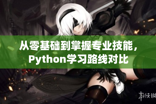 从零基础到掌握专业技能，Python学习路线对比