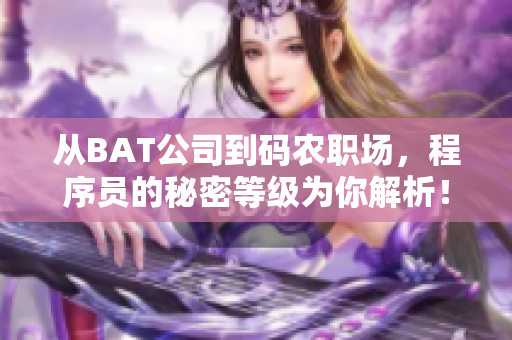 从BAT公司到码农职场，程序员的秘密等级为你解析！