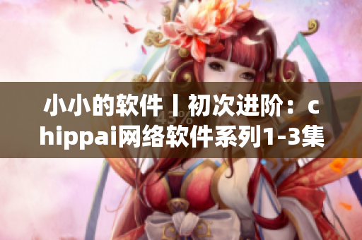 小小的软件丨初次进阶：chippai网络软件系列1-3集