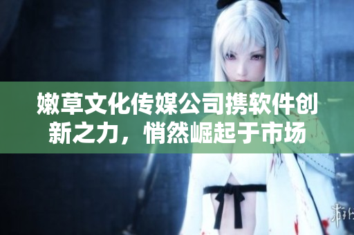 嫩草文化传媒公司携软件创新之力，悄然崛起于市场