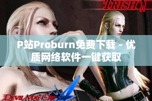 P站Proburn免费下载 - 优质网络软件一键获取