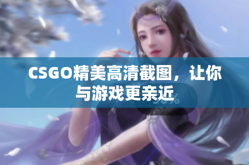 CSGO精美高清截图，让你与游戏更亲近