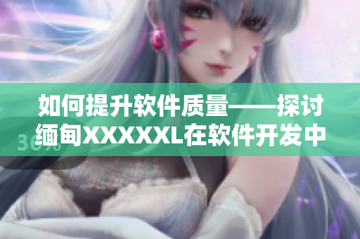 如何提升软件质量——探讨缅甸XXXXXL在软件开发中的应用