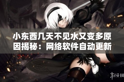小东西几天不见水又变多原因揭秘：网络软件自动更新导致数据异常波动