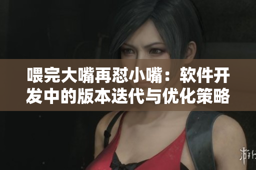 喂完大嘴再怼小嘴：软件开发中的版本迭代与优化策略