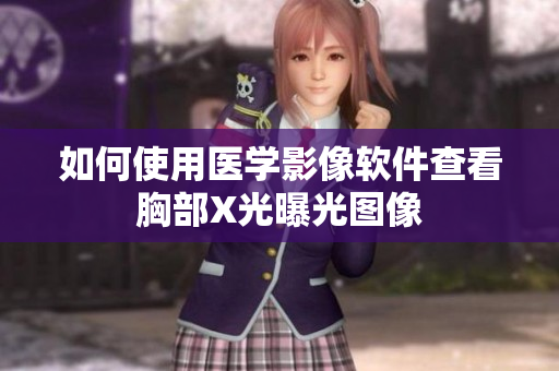 如何使用医学影像软件查看胸部X光曝光图像