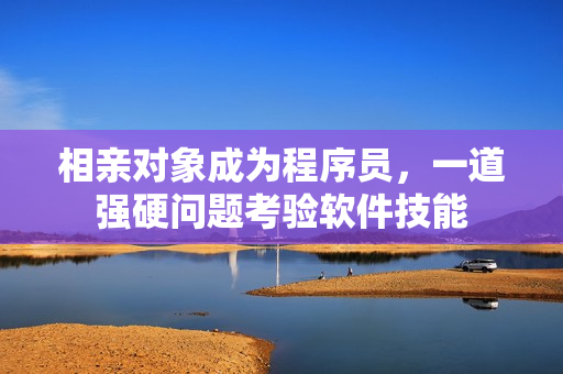 相亲对象成为程序员，一道强硬问题考验软件技能