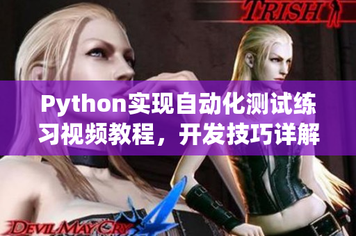 Python实现自动化测试练习视频教程，开发技巧详解