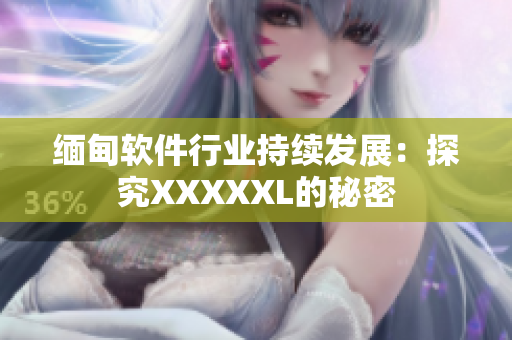 缅甸软件行业持续发展：探究XXXXXL的秘密