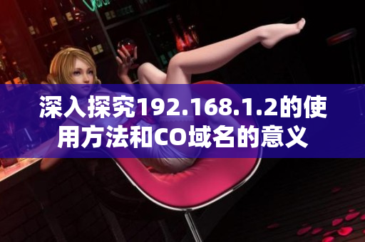 深入探究192.168.1.2的使用方法和CO域名的意义