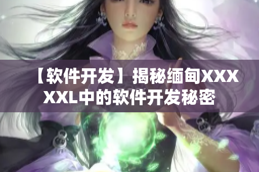 【软件开发】揭秘缅甸XXXXXL中的软件开发秘密