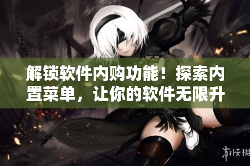 解锁软件内购功能！探索内置菜单，让你的软件无限升级！