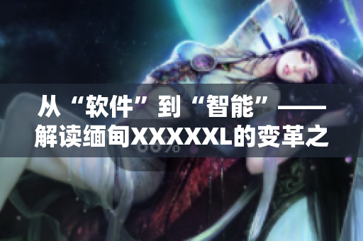 从“软件”到“智能”——解读缅甸XXXXXL的变革之路