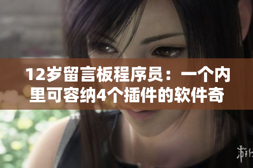 12岁留言板程序员：一个内里可容纳4个插件的软件奇迹
