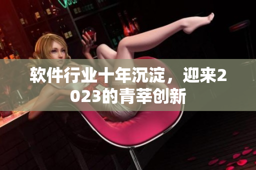 软件行业十年沉淀，迎来2023的青莘创新