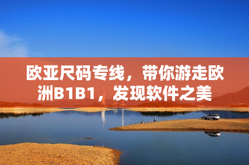 欧亚尺码专线，带你游走欧洲B1B1，发现软件之美