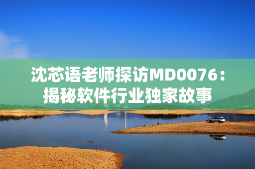 沈芯语老师探访MD0076：揭秘软件行业独家故事