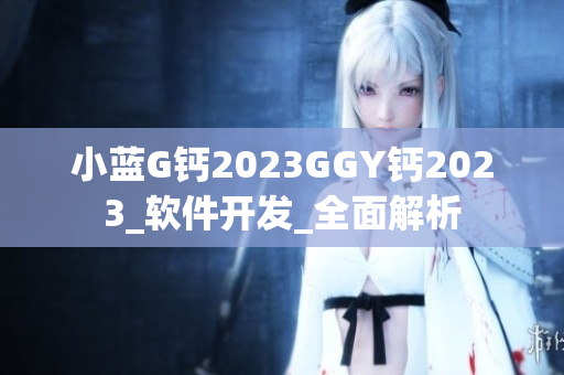 小蓝G钙2023GGY钙2023_软件开发_全面解析