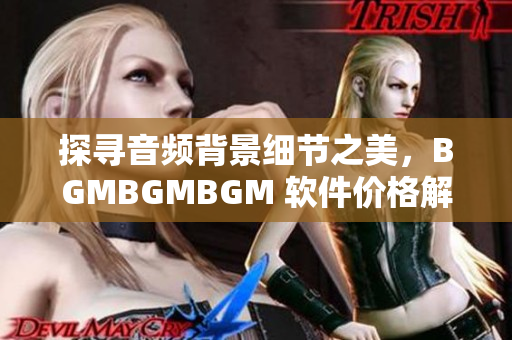 探寻音频背景细节之美，BGMBGMBGM 软件价格解析