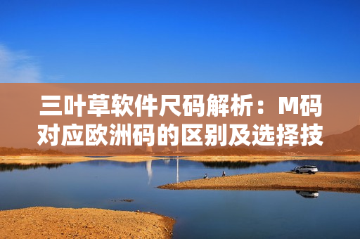 三叶草软件尺码解析：M码对应欧洲码的区别及选择技巧